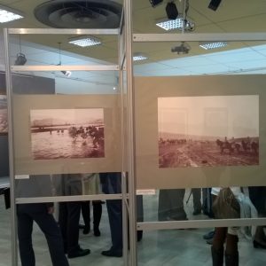 Dekoracija enterijera - Top Sistem Beograd-30