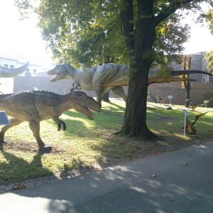 Info stativ, Infopult, Top Sistem Beograd