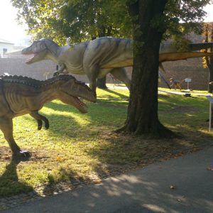 Info stativ, Infopult, Top Sistem Beograd