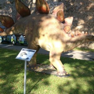 Info stativ, Infopult, Top Sistem Beograd