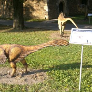 Info stativ, Infopult, Top Sistem Beograd