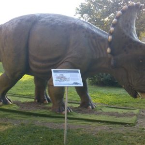 Info stativ, Infopult, Top Sistem Beograd