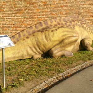 Info stativ, Infopult, Top Sistem Beograd