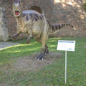 Info stativ, Infopult, Top Sistem Beograd