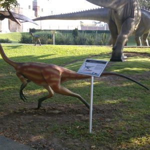 Info stativ, Infopult, Top Sistem Beograd