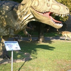 Info stativ, Infopult, Top Sistem Beograd