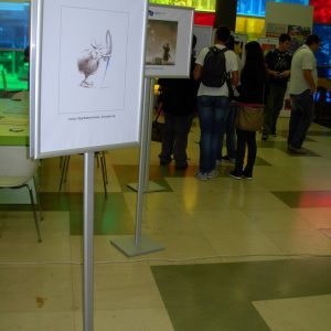 STUBNI NOSAČ KLIK RAMA