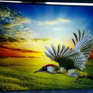 SVETLEĆA TEKSTILNA REKLAMA-8