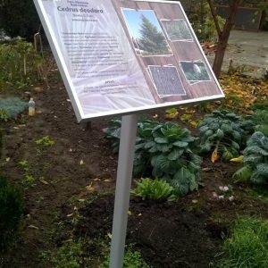 info stativ sa springy ramom